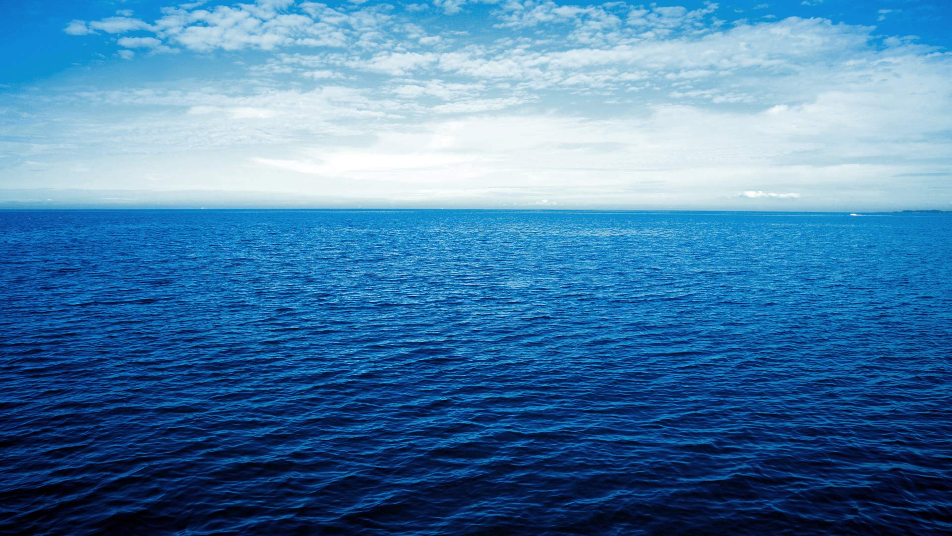 Backgroundimage